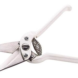 Cisaille onglons pour mouton blanche lames non crantées