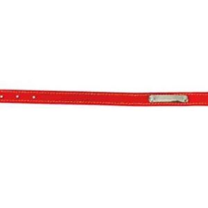 Zolux Collier en Cuir piqué Simple Rouge 70 cm pour Chien