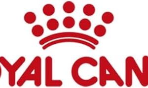 Alternative view of Royal Canin Veterinary Mobility — 2 kg — Croquettes pour chats — Pour soutenir la mobilité