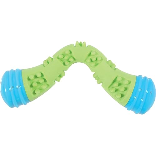 Zolux Boomrang Sunset Vert pour Chien 1 Unité