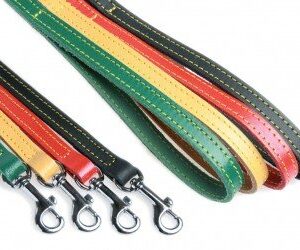 Zolux Laisse piqué Simple Vert 1m/16mm