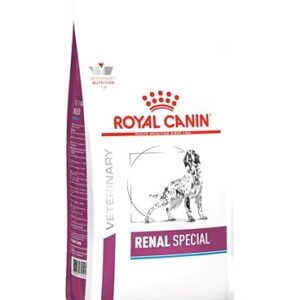 ROYAL CANIN Veterinary Renal Special — 2 kg — Aliment complet diététique pour chiens adultes