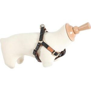 Zolux - Harnais IMAO Mayfair 25 mm Couleur Noir pour Chien