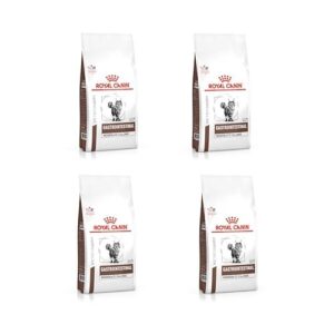Royal Canin Veterinary Gastrointestinal Moderate Calorie | Pack de 4 | 4 x 400 g | Nourriture sèche pour Chats | Peut Aider en Cas de Troubles Gastro-intestinaux chez Les Chats