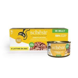 Schesir Nourriture Humide pour Chat saveur Poulet-Ananas 75 g