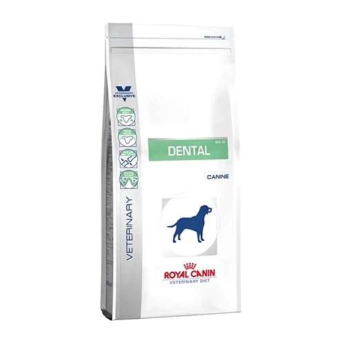 Royal Canin Veterinary Diet Dog Dental Nourriture pour Chien de +10 kg