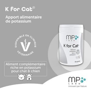 Alternative view of MP labo - K for Cat 60 gel