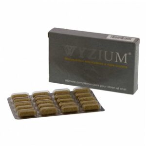 WYZIUM 40 COMPRIMES
