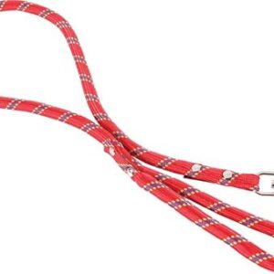 Laisse nylon corde 3 m rouge largeur 13 mm environ pour chien/Zolux