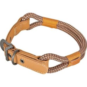 Zolux -Collier IMAO Hyde Park. 11 mm x 60 cm. Chocolat pour Chien.-ZO-466779CHO