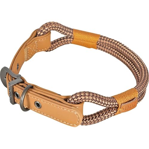 Zolux -Collier IMAO Hyde Park. 11 mm x 60 cm. Chocolat pour Chien.-ZO-466779CHO