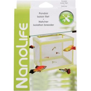 Alternative view of Zolux Pondoir Isoloir pour Aquarium