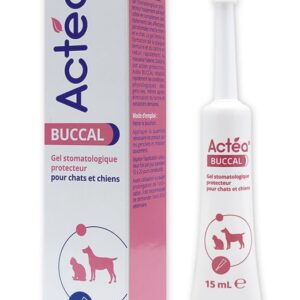 Anidev - Actéa Buccal - Gel Apaisant Gencive Chien Et Chat - Produit Naturel - Mauvaise Haleine