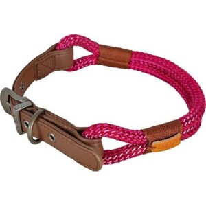 Zolux -Collier IMAO Hyde Park. 6 mm x 40 cm. Fuchsia pour Chien.-ZO-466777FUS