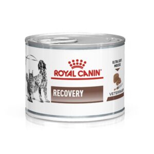 Royal Canin Veterinary Diet Recovery Dog/Cat Food