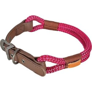 Zolux -Collier IMAO Hyde Park. 9 mm x 50 cm. Fuchsia pour Chien.-ZO-466778FUS