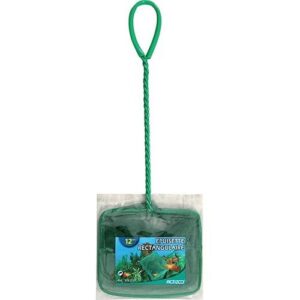 Zolux Epuisette Maille Fine pour Aquarium Noir 12 cm