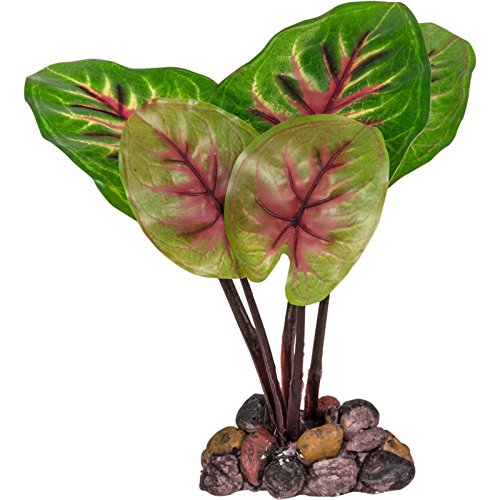 Zolux Décoration Aquarium Plante Artificielle Feuille Large 8 x 4 x 19 cm