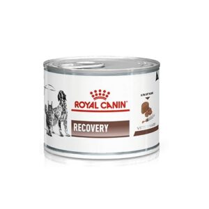Royal Canin Veterinary Recovery — 12 x 195 g — Aliment Complet diététique pour Chiens et Chats