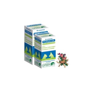 PERNACOX ARTICULATION CHIEN CHAT - 90 comprimés