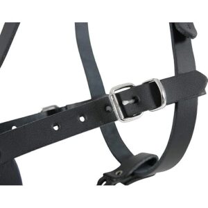 Alternative view of Zolux Police Muselière en Cuir Réglable Adapté aux Épagneuls Bretons Noir T3