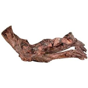 Zolux - Racine Mangrove - 40 à 60 cm 356035 Multicolore Taille Unique