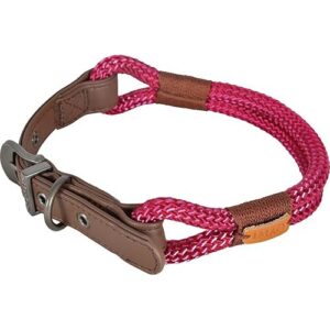Zolux -Collier IMAO Hyde Park. 11 mm x 60 cm. Fuchsia pour Chien.-ZO-466779FUS