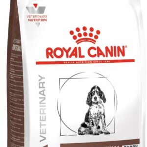 ROYAL CANIN Gastro Intestinal Puppy Dog (GIJ 29) - 1kg