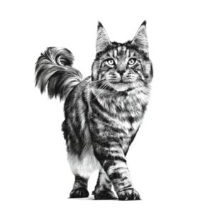 Alternative view of ROYAL CANIN Early Renal Feline - 400g