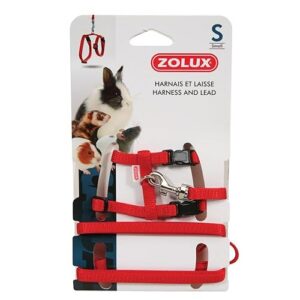 Zolux Casual Kit Harnais pour Petit Mammifère Rouge Taille S