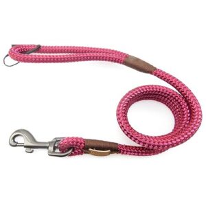 Zolux - Laisse IMAO Hyde Park. ø 11 mm x 1,2 mètre. Fuchsia pour Chien.