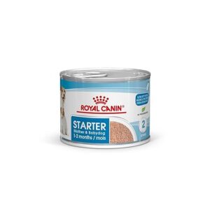 Royal Canin Starter Mousse Mother & Babydog | 12 x 195 g | Nourriture Humide Ultra Soft Mousse | pour chiennes au dernier Tiers de la Gestation et Pendant la période d'allaitement