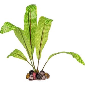 Zolux Décoration Aquarium Plante Artificielle Grande Feuille 8 x 3 x 26,5 cm