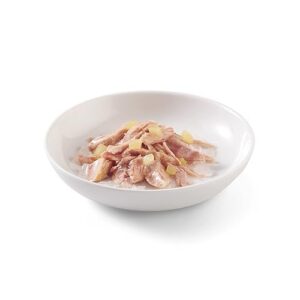 Alternative view of Schesir, Nourriture Humide pour Chats Adultes au goût Ton avec Pomme préparée en gelée Douce -