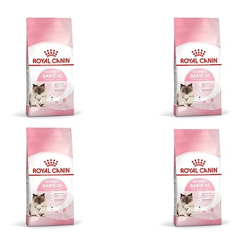 Royal Canin Mother & Babycat | Pack de 4 | 4 x 400 g | Aliments secs pour Chats | Spécialement conçu pour Le Chat et Ses Chatons | pour renforcer Les défenses immunitaires Naturelles