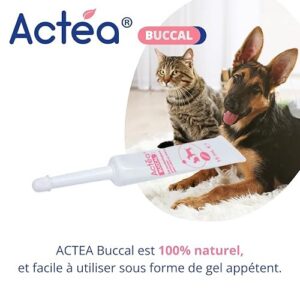 Alternative view of Anidev - Actéa Buccal - Gel Apaisant Gencive Chien Et Chat - Produit Naturel - Mauvaise Haleine