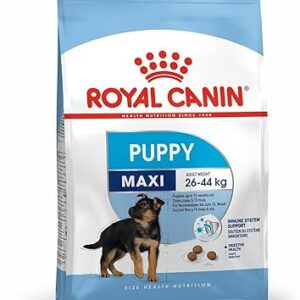 Royal Canin Maxi Junior Nourriture pour Chien 4 kg