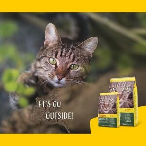Alternative view of JOSERA NatureCat (1 x 10 kg) — Adulte — Croquettes premium pour chats adultes — Saumon & Volaille