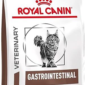 Royal Canin Veterinary Gastrointestinal — 4 kg — Nourriture sèche pour chats — Peut aider en cas de