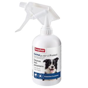 BEAPHAR – CANIGUARD Protect – Spray antiparasitaire pour Chien à la Perméthrine – Agit Contre Les puces et Les tiques – Très Longue Protection jusqu'à 5 semaines – Pulvérisateur de 250 ML