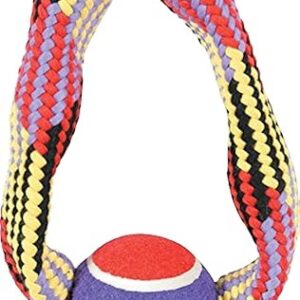 Zolux Jouet Corde Tennis pour Chien Anneau 23 cm