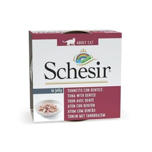 Schesir Chat en gélatine Adulte 85 GR Ton avec Dentice