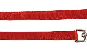 Zolux Cushion Laisse en Nylon pour Chien Rouge 20 mm