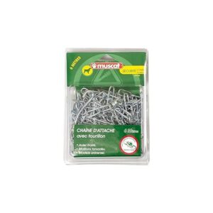 Zolux Chaîne d'Attache pour Chien 6 m