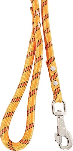 Zolux Laisse NYL Corde 2M ORA