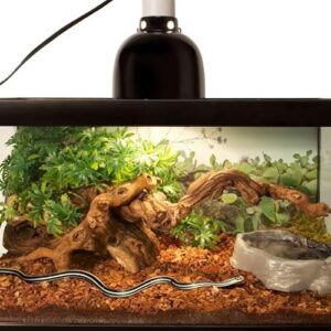 Alternative view of Zoo Med Repti Bark Substrat pour Reptile/Amphibien 4,4 L