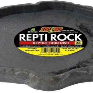 Zoo Med Repti Rock - Mangeoire pour Reptile Terrarium, Ornement d'Aquarium Recyclé Indestructible