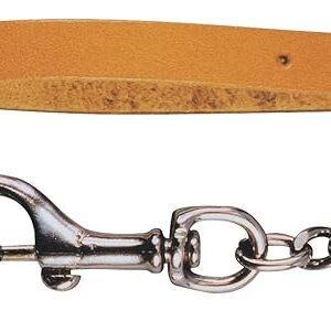 Brico-materiaux - Laisse avec Chaine pour Chien / 113