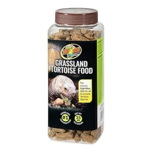 Turtle Bone - Zoomed