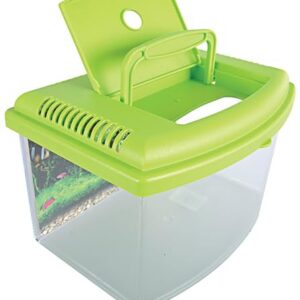 Zolux TravelBox II Aquarium pour Transport/Chambre d'enfant pour Aquariophilie 22 cm Couleur